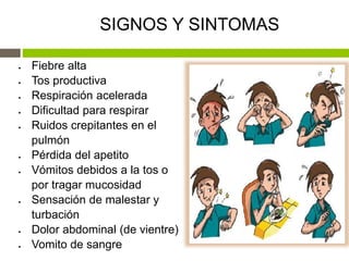 SIGNOS Y SINTOMAS
 Fiebre alta
 Tos productiva
 Respiración acelerada
 Dificultad para respirar
 Ruidos crepitantes en el
pulmón
 Pérdida del apetito
 Vómitos debidos a la tos o
por tragar mucosidad
 Sensación de malestar y
turbación
 Dolor abdominal (de vientre)
 Vomito de sangre
 