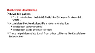 Comprehensive Overview of Enterobacteriaceae: Morphology ...
