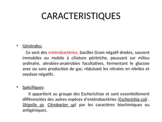 CARACTERISTIQUES
• Générales:
Ce sont des entérobactéries, bacilles Gram négatif droites, souvent
immobiles ou mobile à ciliature péritriche, poussant sur milieu
ordinaire, aérobies-anaérobies facultatives, fermentant le glucose
avec ou sans production de gaz, réduisant les nitrates en nitrites et
oxydase négatifs.
• Spécifiques:
Il appartient au groupe des Escherichiae et sont essentiellement
différenciées des autres espèces d’entérobactéries (Escherichia coli ,
Shigella sp, Citrobacter sp) par les caractères biochimiques ou
antigéniques.
 