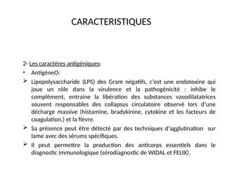 CARACTERISTIQUES
2- Les caractères antigéniques:
• AntigèneO:
 Lipopolysaccharide (LPS) des Gram négatifs, c’est une endotoxine qui
joue un rôle dans la virulence et la pathogénicité : inhibe le
complément, entraine la libération des substances vasodilatatrices
souvent responsables des collapsus circulatoire observé lors d’une
décharge massive (histamine, bradykinine, cytokine et les facteurs de
coagulation,) et la fièvre.
 Sa présence peut être détecté par des techniques d’agglutination sur
lame avec des sérums spécifiques.
 Il peut permettre la production des anticorps essentiels dans le
diagnostic immunologique (sérodiagnostic de WIDAL et FELIX).
 