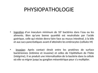 PHYSIOPATHOLOGIE
• Ingestion d’un inoculum minimum de 105
bactéries dans l’eau ou les
aliments. Bien qu’une bonne quantité est neutralisée par l’acide
gastrique, celle qui résiste devra faire face au mucus intestinal, à la bile
et aux sucs pancréatiques avant d’atteindre les entérocytes (cellules M)
• Invasion: Après contact étroit entre les protéines de surface
bactériennes (intimine et invasine) et celles de l’épithélium de l’hôte
(intégrine), il se produit une internalisation de la bactérie dans la cellule
où elle va migrer jusqu’au ganglion mésentérique pour s’y multiplier.
 