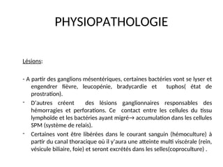 PHYSIOPATHOLOGIE
Lésions:
- A partir des ganglions mésentériques, certaines bactéries vont se lyser et
engendrer fièvre, leucopénie, bradycardie et tuphos( état de
prostration).
- D’autres créent des lésions ganglionnaires responsables des
hémorragies et perforations. Ce contact entre les cellules du tissu
lymphoïde et les bactéries ayant migré→ accumulation dans les cellules
SPM (système de relais).
- Certaines vont être libérées dans le courant sanguin (hémoculture) à
partir du canal thoracique où il y’aura une atteinte multi viscérale (rein,
vésicule biliaire, foie) et seront excrétés dans les selles(coproculture) .
 