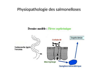 Physiopathologie des salmonelloses
 