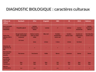 DIAGNOSTIC BIOLOGIQUE : caractères culturaux
Milieux de
culture
Rambach XTL4 Drigalski NBG SS DCLS Hektoen
Sucre fermenté
ou substrat
métabolisé
Propylène glycol
Lactose
Saccharose
Xylose
Lactose // Lactose Lactose
Saccharose
Lactose
Saccharose
Salicine
Aspect des
colonies (24h à
37°C)
Rouge fuschia (sauf
Typhi et Paratyphi
incolores)
0,5-1mm
Noires à centre
noire sur fond
violet
2mm
Bleu-vert
2-3mm
Verdâtre
translucide à
centre noir
1-3mm
Incolore
(centre noir)
1-2mm
Incolore et
Légèrement
rosée
0,5-2mm
Vert-bleuâtre
(centre noir)
Détection de
production de
H2S
- + - + + - +
Discrimination
avec la flore
associée
Très bonne Très bonne Faible Bonne moyenne bonne bonne
Perception
correcte des
salmonelle
-Lactose
-Saccharose
Non
Oui
Non
Non
Non
Oui
Oui
Oui
Non
Oui
Non
Non
Non
Non
Sélecteur
antisaprophyte +++ +++ - +++ ++ - +
 