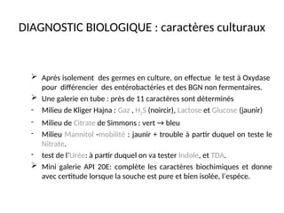 DIAGNOSTIC BIOLOGIQUE : caractères culturaux
 Après isolement des germes en culture, on effectue le test à Oxydase
pour différencier des entérobactéries et des BGN non fermentaires.
 Une galerie en tube : près de 11 caractères sont déterminés
- Milieu de Kliger Hajna : Gaz , H2S (noircir), Lactose et Glucose (jaunir)
- Milieu de Citrate de Simmons : vert → bleu
- Milieu Mannitol -mobilité : jaunir + trouble à partir duquel on teste le
Nitrate.
- test de l’Urée: à partir duquel on va tester Indole, et TDA.
 Mini galerie API 20E: complète les caractères biochimiques et donne
avec certitude lorsque la souche est pure et bien isolée, l’espèce.
 