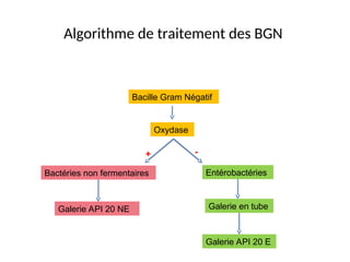 Algorithme de traitement des BGN
Bacille Gram Négatif
Entérobactéries
Bactéries non fermentaires
Oxydase
Galerie en tube
Galerie API 20 E
-
+
Galerie API 20 NE
 