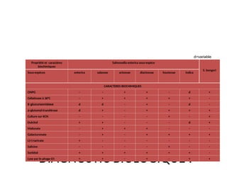 DIAGNOSTIC BIOLOGIQUE :
Propriété et caractères
biochimiques
Salmonella enterica sous-espèce
S. bongori
Sous-espèces enterica salamae arizonae diarizonae houtenae indica
CARACTERES BIOCHIMIQUES
ONPG - - + + - d +
Gélatinase à 36°C - + + + + + -
Β glucuraonidase d d - + - d -
α-glutamyl-transférase d + - + + + +
Culture sur KCN - - - - + - +
Dulcitol + + - - - d +
Malonate - + + + - - -
Galacturonate - + - + + + +
L(+)-tartrate + - - - - - -
Salicine - - - - + - -
Sorbitol + + + + + + -
Lyse par le phage O1 + + - + - + +
Les critères d’identification biochimiques des espèces
d=variable
 
