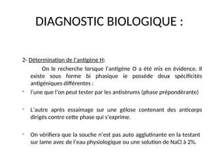 DIAGNOSTIC BIOLOGIQUE :
2- Détermination de l’antigène H:
On le recherche lorsque l’antigène O a été mis en évidence. Il
existe sous forme bi phasique ie possède deux spécificités
antigéniques différentes :
- l’une que l’on peut tester par les antisérums (phase prépondérante)
- L’autre après essaimage sur une gélose contenant des anticorps
dirigés contre cette phase qui s’exprime.
- On vérifiera que la souche n’est pas auto agglutinante en la testant
sur lame avec de l’eau physiologique ou une solution de NaCl à 2%.
 
