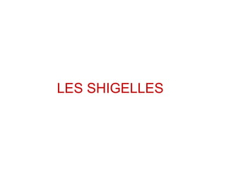 LES SHIGELLES
 