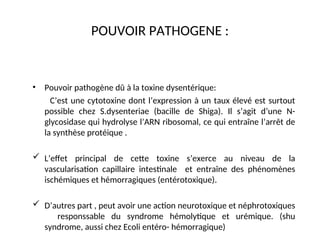 POUVOIR PATHOGENE :
• Pouvoir pathogène dû à la toxine dysentérique:
C’est une cytotoxine dont l’expression à un taux élevé est surtout
possible chez S.dysenteriae (bacille de Shiga). Il s’agit d’une N-
glycosidase qui hydrolyse l’ARN ribosomal, ce qui entraîne l’arrêt de
la synthèse protéique .
 L’effet principal de cette toxine s’exerce au niveau de la
vascularisation capillaire intestinale et entraîne des phénomènes
ischémiques et hémorragiques (entérotoxique).
 D’autres part , peut avoir une action neurotoxique et néphrotoxiques
responssable du syndrome hémolytique et urémique. (shu
syndrome, aussi chez Ecoli entéro- hémorragique)
 