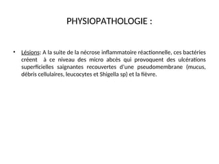 PHYSIOPATHOLOGIE :
• Lésions: A la suite de la nécrose inflammatoire réactionnelle, ces bactéries
créent à ce niveau des micro abcès qui provoquent des ulcérations
superficielles saignantes recouvertes d’une pseudomembrane (mucus,
débris cellulaires, leucocytes et Shigella sp) et la fièvre.
 