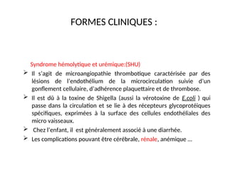 FORMES CLINIQUES :
Syndrome hémolytique et urémique:(SHU)
 Il s’agit de microangiopathie thrombotique caractérisée par des
lésions de l’endothélium de la microcirculation suivie d’un
gonflement cellulaire, d’adhérence plaquettaire et de thrombose.
 Il est dû à la toxine de Shigella (aussi la vérotoxine de E.coli ) qui
passe dans la circulation et se lie à des récepteurs glycoprotéiques
spécifiques, exprimées à la surface des cellules endothéliales des
micro vaisseaux.
 Chez l’enfant, il est généralement associé à une diarrhée.
 Les complications pouvant être cérébrale, rénale, anémique …
 