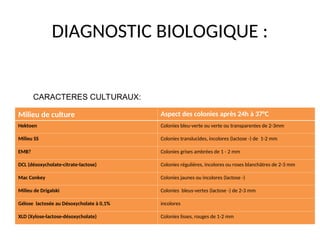DIAGNOSTIC BIOLOGIQUE :
Milieu de culture Aspect des colonies après 24h à 37°C
Hektoen Colonies bleu-verte ou verte ou transparentes de 2-3mm
Milieu SS Colonies translucides, incolores (lactose -) de 1-2 mm
EMB? Colonies grises ambrées de 1 - 2 mm
DCL (désoxycholate-citrate-lactose) Colonies régulières, incolores ou roses blanchâtres de 2-3 mm
Mac Conkey Colonies jaunes ou incolores (lactose -)
Milieu de Drigalski Colonies bleus-vertes (lactose -) de 2-3 mm
Gélose lactosée au Désoxycholate à 0,1% incolores
XLD (Xylose-lactose-désoxycholate) Colonies lisses, rouges de 1-2 mm
CARACTERES CULTURAUX:
 