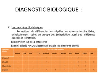 DIAGNOSTIC BIOLOGIQUE :
 Les caractères biochimiques:
Permettent de différencier les shigelles des autres entérobactéries,
principalement celles du groupe des Escherichiae, aussi des différents
espèces et sérotypes.
- La galerie en tube: 11 caractères
- La mini galerie API 20 E permet d ’établir les différents profils
Espèces de
Shigelle
CARCTERES BIOCHIMIQUES
mobilité TDA urée VP Mannitol lactose glucose H2S Indole ONPG ODC
S. flexneri - - - - + - + - d - -
S. boydii - - - - + - + - d ± ±
S.dysenteriae - - - - - - + - d ± -
S. sonnei - - - - + ± + - - ± +
 