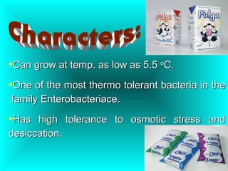 •Can grow at temp. as low as 5.5Can grow at temp. as low as 5.5 oo
C.C.
•One of the most thermo tolerant bacteria in theOne of the most thermo tolerant bacteria in the
family Enterobacteriace.family Enterobacteriace.
•Has high tolerance to osmotic stress andHas high tolerance to osmotic stress and
desiccation.desiccation.
 