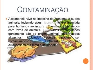 CONTAMINAÇÃO
 A salmonela vive no intestino de humanos e outros
animais, incluindo aves. Geralmente é transmitida
para humanos ao ingerir alimentos contaminados
com fezes de animais. As comidas contaminadas
geralmente são de origem animal, porém todos
alimentos, incluindo vegetais, podem ser
contaminados. Entretanto cozinhar
cuidadosamente mata a salmonela.
 