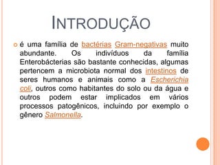 INTRODUÇÃO
 é uma família de bactérias Gram-negativas muito
abundante. Os indivíduos da família
Enterobácterias são bastante conhecidas, algumas
pertencem a microbiota normal dos intestinos de
seres humanos e animais como a Escherichia
coli, outros como habitantes do solo ou da água e
outros podem estar implicados em vários
processos patogênicos, incluindo por exemplo o
gênero Salmonella.
 