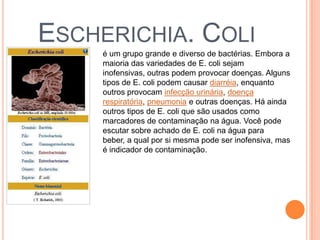 ESCHERICHIA. COLI
é um grupo grande e diverso de bactérias. Embora a
maioria das variedades de E. coli sejam
inofensivas, outras podem provocar doenças. Alguns
tipos de E. coli podem causar diarréia, enquanto
outros provocam infecção urinária, doença
respiratória, pneumonia e outras doenças. Há ainda
outros tipos de E. coli que são usados como
marcadores de contaminação na água. Você pode
escutar sobre achado de E. coli na água para
beber, a qual por si mesma pode ser inofensiva, mas
é indicador de contaminação.
 