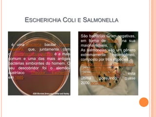 ESCHERICHIA COLI E SALMONELLA
é uma bactéria bacilar Gram-
negativa, que, juntamente com
o Staphylococcus aureus é a mais
comum e uma das mais antigas
bactérias simbiontes do homem. O
seu descobridor foi o alemão-
austríaco Theodor Escherich,
em 1885.
São bactérias Gram-negativas,
em forma de bacilo, na sua
maioria móveis,
As salmonelas são um gênero
extremamente heterogêneo,
composto por três espécies,
Salmonella subterranea,
Salmonella bongori e
Salmonella enterica, esta
última possuindo quase
2000 sorotipos
 
