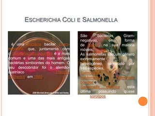 ESCHERICHIA COLI E SALMONELLA

                                    São       bactérias      Gram-
                                    negativas,      em       forma
  é uma bactéria bacilar Gram-      de bacilo, na sua maioria
negativa, que, juntamente com       móveis,
o Staphylococcus aureus é a mais    As salmonelas são um gênero
comum e uma das mais antigas        extremamente
bactérias simbiontes do homem. O    heterogêneo, composto por
seu descobridor foi o alemão-       três espécies,
austríaco                 Theodor   Salmonella
Escherich, em 1885.                 subterranea,         Salmonella
                                    bongori e
                                    Salmonella     enterica,   esta
                                    última     possuindo     quase
                                    2000 sorotipos
 