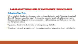 Cellophane Tape Test.
E. vermicularis females lay their eggs on the perineum during the night. Touching the perianal
skin with the sticky side of the tape will pick up the eggs; the tape is affixed to a microscope
slide and examined. Eggs are oval, approximately 55X25μm in size, and flattened on one side,
and they contain a larva.
Specimens should be collected prior to bathing or using the toilet.
Four to six consecutive negative pinworm tape preparations are required to rule out infection.
LABORATORY DIAGNOSIS OF ENTEROBIUS VERMICULARIS
 