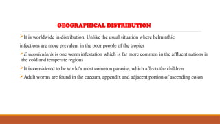 It is worldwide in distribution. Unlike the usual situation where helminthic
infections are more prevalent in the poor people of the tropics
E.vermicularis is one worm infestation which is far more common in the affluent nations in
the cold and temperate regions
It is considered to be world’s most common parasite, which affects the children
Adult worms are found in the caecum, appendix and adjacent portion of ascending colon
GEOGRAPHICAL DISTRIBUTION
 