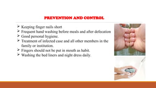 PREVENTION AND CONTROL
 Keeping finger nails short
 Frequent hand washing before meals and after defecation
 Good personal hygiene.
 Treatment of infected case and all other members in the
family or institution.
 Fingers should not be put in mouth as habit.
 Washing the bed liners and night dress daily.
 