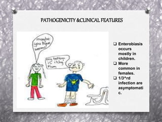 PATHOGENICITY &CLINICAL FEATURES
 Enterobiasis
occurs
mostly in
children.
 More
common in
females.
 1/3^rd
infection are
asymptomati
c.
 