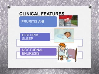 PRURITIS ANI
DISTURBS
SLEEP
NOCTURNAL
ENURESIS
CLINICAL FEATURES
 