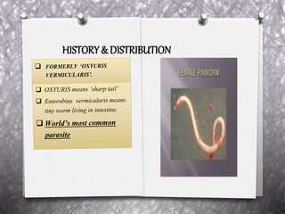 HISTORY & DISTRIBUTION
 