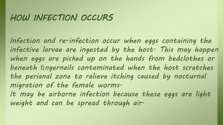 HOW INFECTION OCCURS
Infection and re-infection occur when eggs containing the
infective larvae are ingested by the host. This may happen
when eggs are picked up on the hands from bedclothes or
beneath ﬁngernails contaminated when the host scratches
the perianal zone to relieve itching caused by nocturnal
migration of the female worms.
It may be airborne infection because these eggs are light
weight and can be spread through air.
 