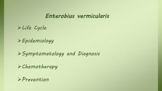 Enterobius vermicularis
Life Cycle
Epidemiology
Symptomatology and Diagnosis
Chemotherapy
Prevention
 