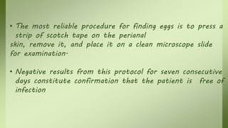 • The most reliable procedure for finding eggs is to press a
strip of scotch tape on the perianal
skin, remove it, and place it on a clean microscope slide
for examination.
• Negative results from this protocol for seven consecutive
days constitute confirmation that the patient is free of
infection
 