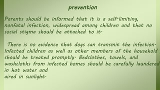 prevention
Parents should be informed that it is a self-limiting,
nonfatal infection, widespread among children and that no
social stigma should be attached to it.
There is no evidence that dogs can transmit the infection.
Infected children as well as other members of the household
should be treated promptly. Bedclothes, towels, and
washcloths from infected homes should be carefully laundered
in hot water and
aired in sunlight.
 