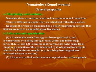 Nematodes (Round worms)
General properties
a. Morphology and anatomy.
Nematodes have an anterior mouth and posterior anus and range from
90 µm to 1000 mm in length. They are cylindrical with a thick surface
tegument; their shape is maintained by a positive hydrostatic pressure that
limits movement to a sinusoidal snake-like motion.
b. Life cycle and reproduction
(1) All nematodes hatch from eggs as first-stage larva(L1) and
metamorphose by molting through second-,third- and fourth-stage
larvae (L2, L3, and L4) to become adult worms. Life cycles range from
simple (e.g., ingestion of the egg is followed by development from eggs to
adult in the intestine) to complex (e.g., involving tissue migration or
intermediate hosts or vectors).
(2) All species are diecious but some can reproduce by parthenogenesis.
 