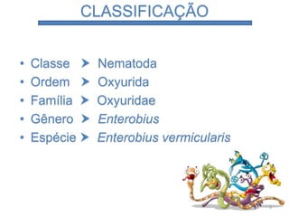 • Classe  Nematoda
• Ordem  Oxyurida
• Família  Oxyuridae
• Gênero  Enterobius
• Espécie  Enterobius vermicularis
CLASSIFICAÇÃO
3
 