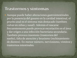 Aunque puede haber alteraciones gastrointestinales por la presencia del gusano en la cavidad intestinal, el prurito anal es el síntoma más destacado (también vulvar en niñas y nasal). Además el rascarse frecuentemente puede provocar escoriación en el área y dar origen a una infección bacteriana secundaria. También provoca insomnio (trastornos del sueño), falta de atención y bruxismo (rechinamiento de dientes). En menor número, nerviosismo, vómitos y trastornos intestinales.Trastornos y síntomas