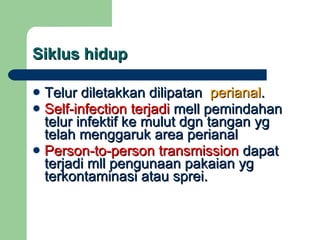 Siklus hidup Telur diletakkan dilipatan  perianal . Self-infection terjadi  mell pemindahan telur infektif ke mulut dgn tangan yg telah menggaruk area perianal Person-to-person transmission  dapat terjadi mll pengunaan pakaian yg terkontaminasi atau sprei. 