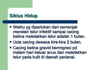 Siklus Hidup Waktu yg diperlukan dari semenjak menelan telur infektif sampai cacing betina meletakkan telur adalah 1 bulan. Usia cacing dewasa kira-kira 2 bulan. Cacing betina gravid bermigrasi pd malam hari keluar anus dan meletakkan telur pada kulit di daerah perianal. 