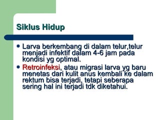Siklus Hidup Larva berkembang di dalam telur,telur menjadi infektif dalam 4-6 jam pada kondisi yg optimal. Retroinfeksi , atau migrasi larva yg baru menetas dari kulit anus kembali ke dalam rektum bisa terjadi, tetapi seberapa sering hal ini terjadi tdk diketahui. 