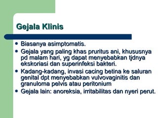 Gejala Klinis Biasanya asimptomatis. Gejala yang paling khas pruritus ani, khususnya pd malam hari, yg dapat menyebabkan tjdnya ekskoriasi dan superinfeksi bakteri. Kadang-kadang, invasi cacing betina ke saluran genital dpt menyebabkan vulvovaginitis dan granuloma pelvis atau peritonium Gejala lain: anoreksia, irritabilitas dan nyeri perut. 