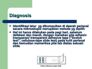 Diagnosis Identifikasi telur  yg dikumpulkan di daerah perianal secara mikroskopis merupakan metode yg dipilih Hal ini harus dilakukan pada pagi hari, sebelum defekasi dan mandi, dengan menekan pita adhesiv transparan/ transparent adhesive tape ("Scotch test", cellulose-tape slide test) pada kulit perianal dan kemudian memeriksa pita tsb diatas sebuah slide 
