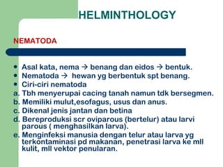 HELMINTHOLOGY NEMATODA Asal kata, nema    benang dan eidos    bentuk. Nematoda     hewan yg berbentuk spt benang. Ciri-ciri nematoda a. Tbh menyerupai cacing tanah namun tdk bersegmen. b. Memiliki mulut,esofagus, usus dan anus. c. Dikenal jenis jantan dan betina d. Bereproduksi scr oviparous (bertelur) atau larvi parous ( menghasilkan larva). e. Menginfeksi manusia dengan telur atau larva yg terkontaminasi pd makanan, penetrasi larva ke mll kulit, mll vektor penularan. 