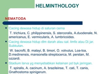 HELMINTHOLOGY NEMATODA Cacing dewasa hidup di saluran cerna T. trichiura, C. philippinensis, S. stercoralis, A.duodenale, N. americanus, E. vermicularis, A. lumbricoides. Cacing dewasa hidup dlm darah atau sal. limfe atau Di jar. Subkutan. W. bacrofti, B. malayi, B. timori, O. volvulus, Loa-loa, D.medinensis, mansonella streptocerca, M. perstan, M. ozzardi. Stadium larva yg menyebabkan kelainan pd byk jaringan. T. spiralis, A. cacinum, A. brazileinse, T. cati, T. canis, Gnathostoma spinigerum. 