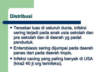 Distribusi Tersebar luas di seluruh dunia, infeksi sering terjadi pada anak usia sekolah dan pra sekolah dan di daerah yg padat penduduk. Enterobiasis sering dijumpai pada daerah panas dari pada daerah tropis. Infeksi cacing yang paling banyak di USA (kira2 40 jt org terinfeksi). 