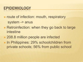 EPIDEMIOLOGY

 route of infection: mouth, respiratory
   system -> anus
 Retroinfection: when they go back to large
  intestine
 208.8 million people are infected

 In Philippines: 29% schoolchildren from
  private schools; 56% from public school
 