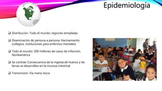 Epidemiología
 Distribución: Todo el mundo; regiones templadas
 Diseminación de persona a persona: Hacinamiento
(colegios, instituciones para enfermos mentales)
 Todo el mundo: 500 millones de casos de infección;
Norteamérica
 Se contrae: Consecuencia de la ingesta de huevos y las
larvas se desarrollan en la mucosa intestinal
 Transmisión: Vía mano-boca
 
