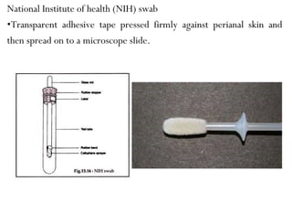National Institute of health (NIH) swab
•Transparent adhesive tape pressed firmly against perianal skin and
then spread on to a microscope slide.
 