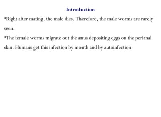 Introduction
•Right after mating, the male dies. Therefore, the male worms are rarely
seen.
•The female worms migrate out the anus depositing eggs on the perianal
skin. Humans get this infection by mouth and by autoinfection.
 