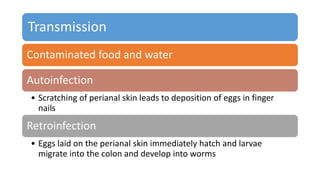 Transmission
Contaminated food and water
Autoinfection
• Scratching of perianal skin leads to deposition of eggs in finger
nails
Retroinfection
• Eggs laid on the perianal skin immediately hatch and larvae
migrate into the colon and develop into worms
 